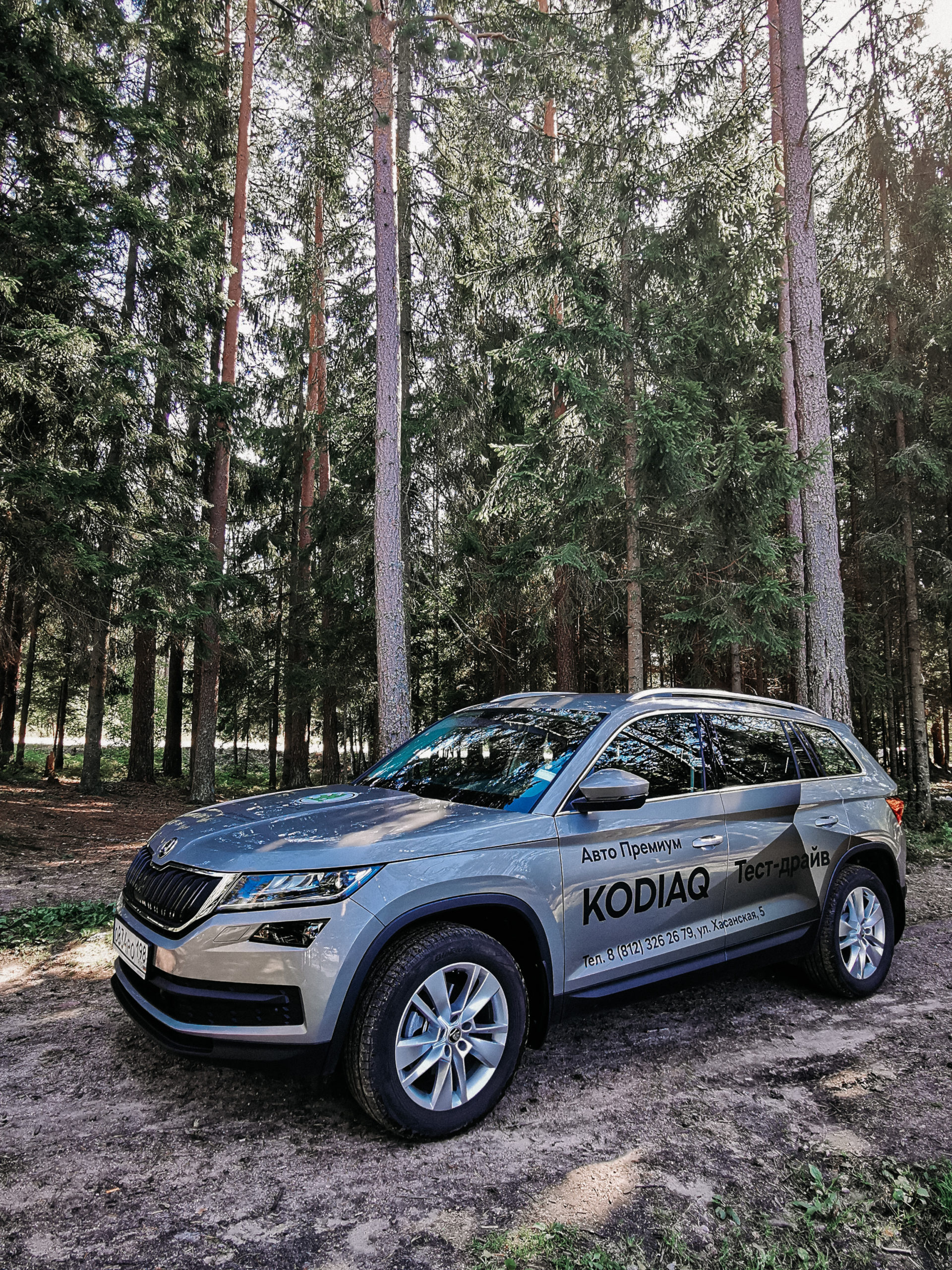 Нет ничего более практичного, чем Skoda Kodiaq: обзор чешского автомобиля